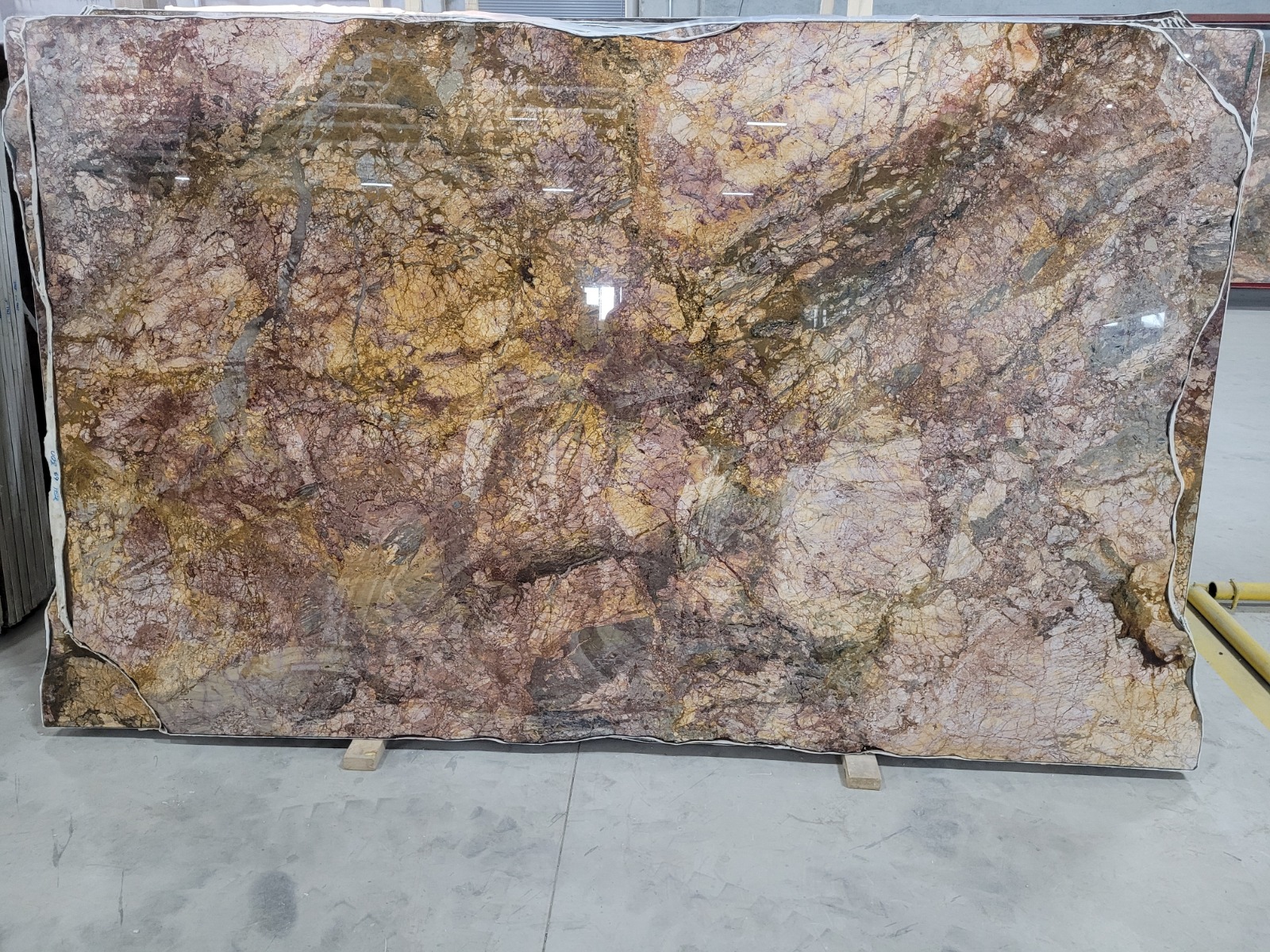 Anemon Polished